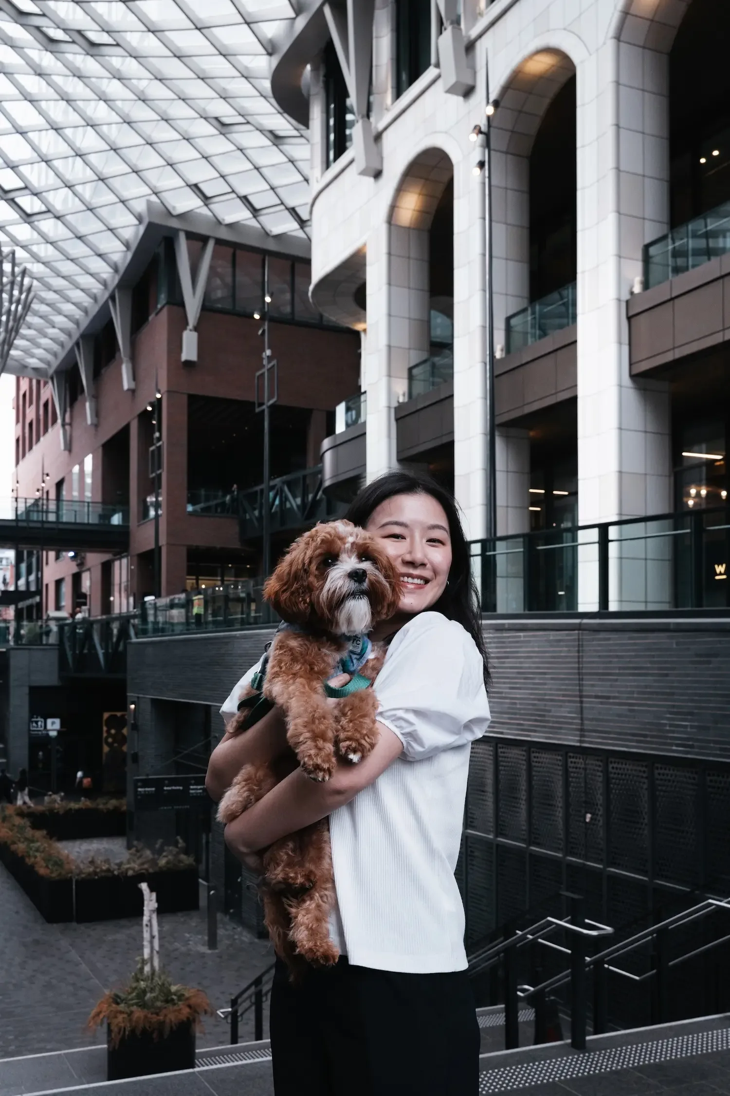 Dog photography 1